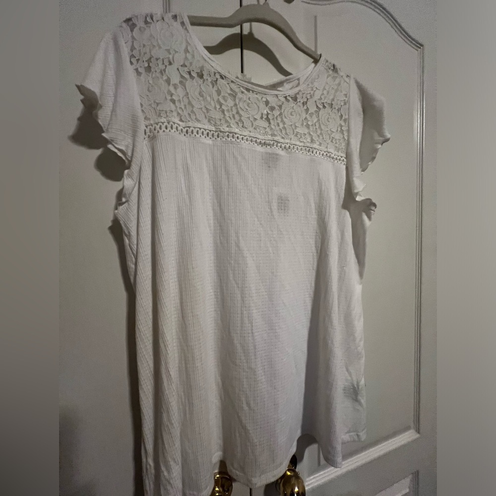 Torrid Size2